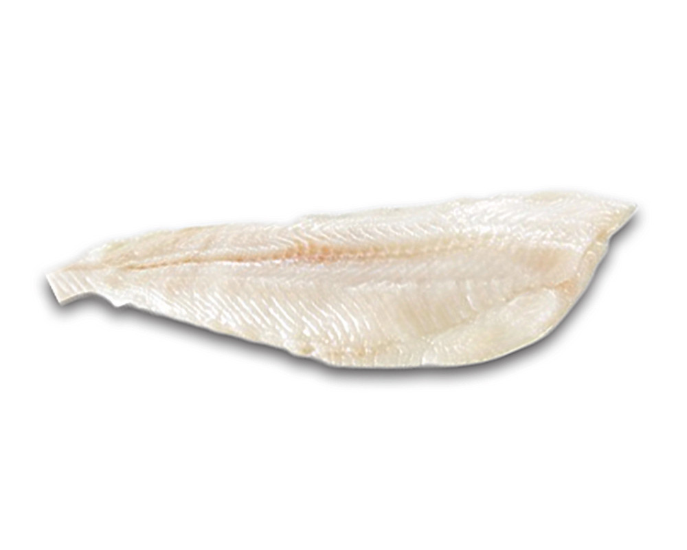 Filet de poissons